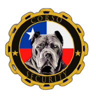 Logo Corso Security